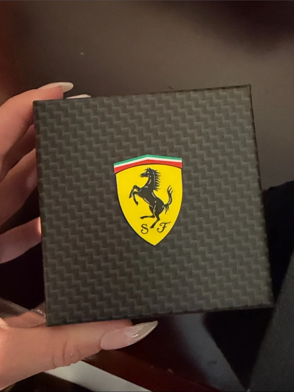 Ferrari Black and Red Sport Chronograph Watch